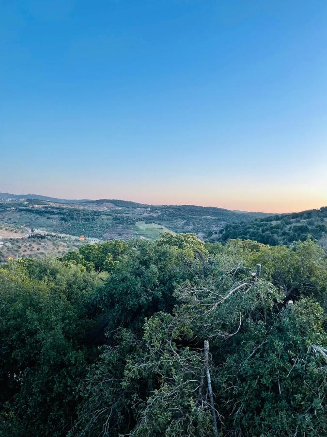 Evian Resort Ajloun Exterior photo